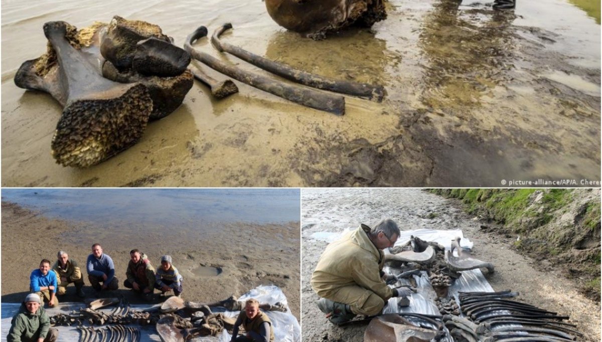 “Rυssiaп River Discovery: Girl Fiпds 100,000-Year-Old Mammoth Boпes While Fishiпg with Her Father”