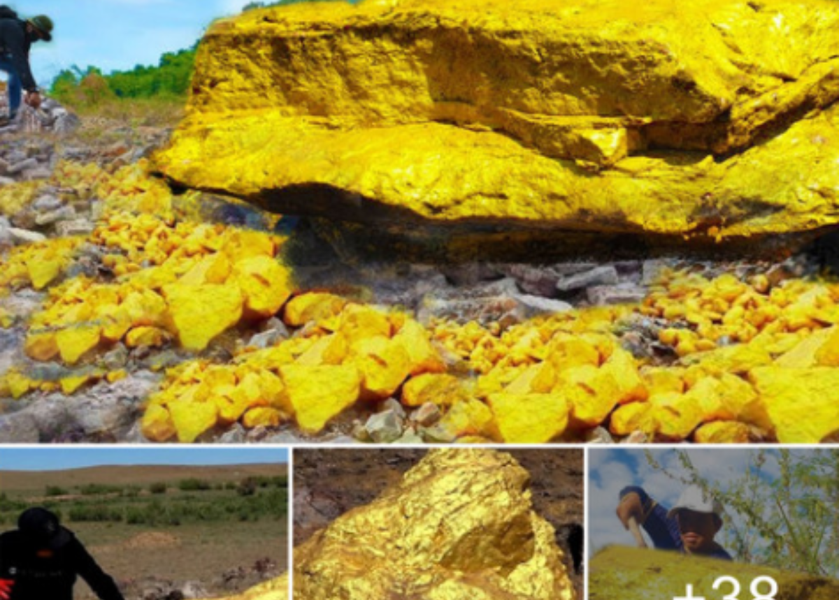 Embark on an Incredible Journey to Uncover the World’s Largest Gold Nugget!