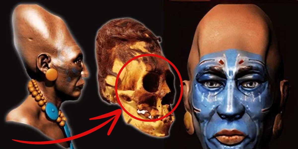 Groundbreaking DNA Tests Reveal Paracas Skull’s Non-Human Origins, Scientists Announce.Thai