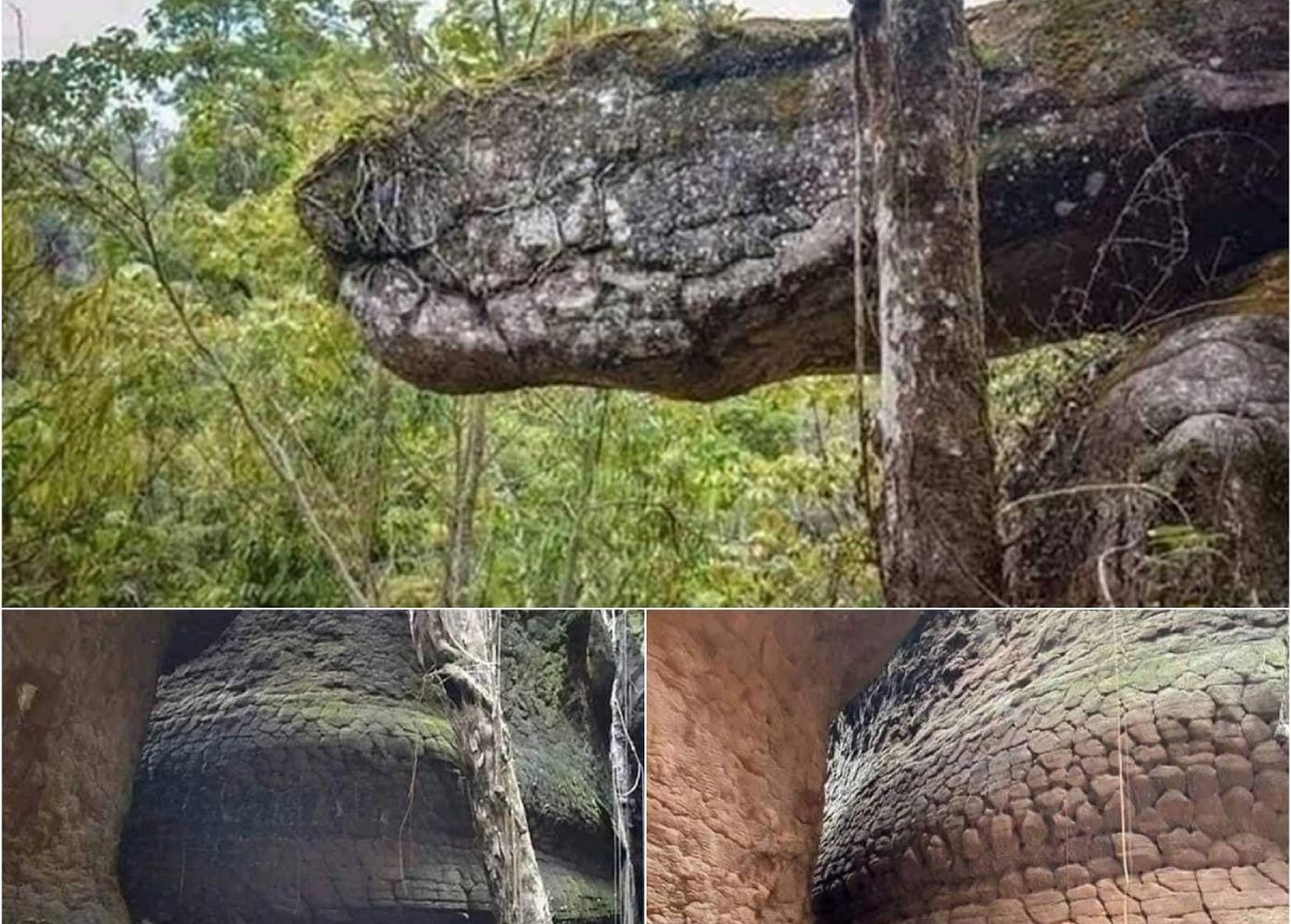 En una misteriosa cueva sagrada en Vietnam, la gente descubrió algo sorprendente: una serpiente gigante fosilizada