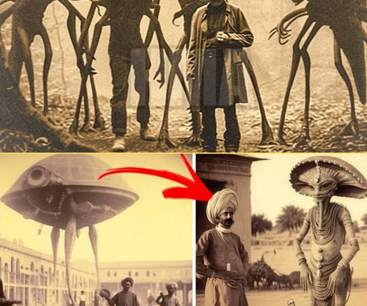 Unlocking the Mystery: The High-Stakes World of UFO Research and Dark Alien Secrets