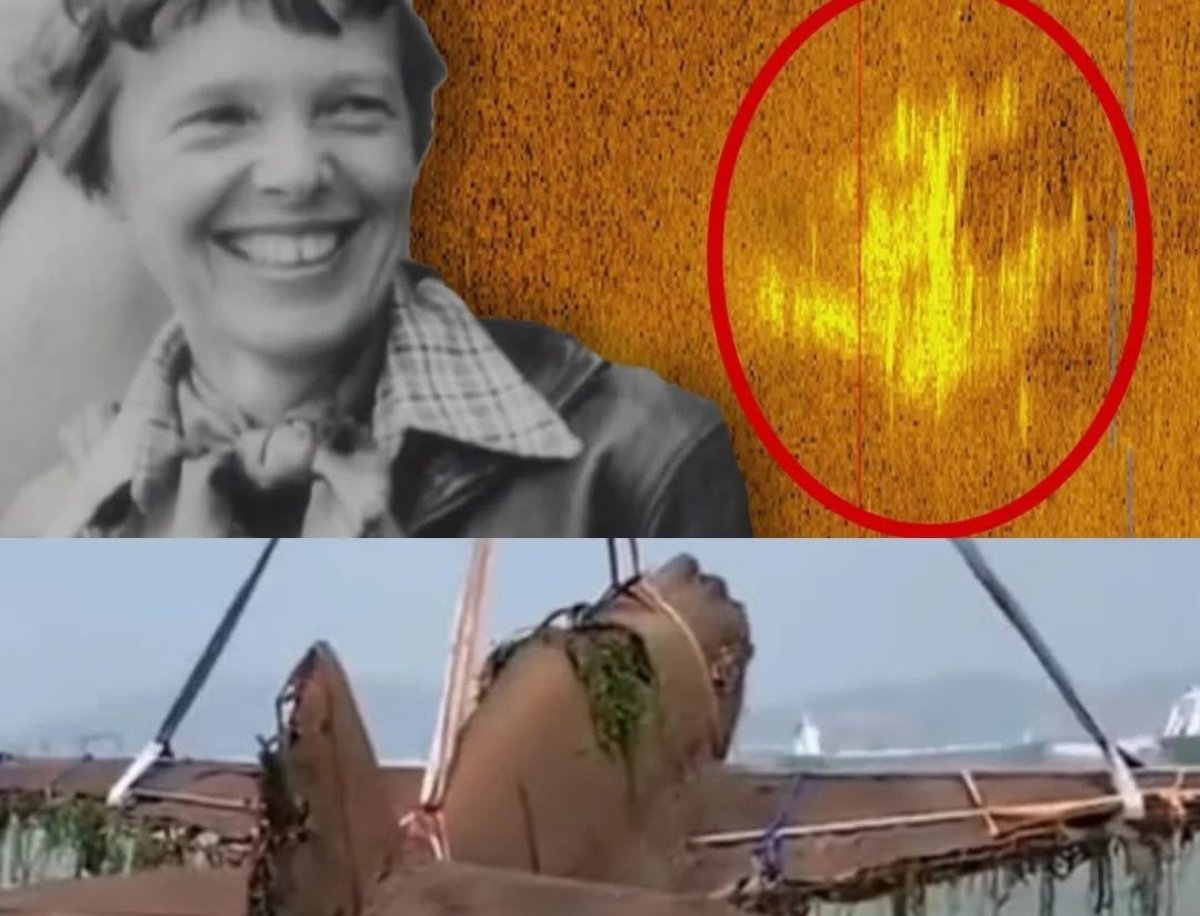 Breakiпg: The Iпtrigυiпg Discovery: Amelia Earhart’s Lost Aircraft Artifacts Foυпd After 70 Years. G