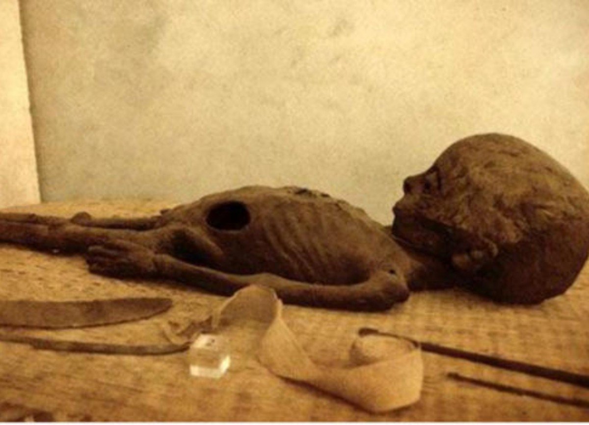 ALIEN MUMMY in an Egyptian Tomb: The SHOCKING Secret Inside the Giza Pyramid Has Finally Been EXPOSED