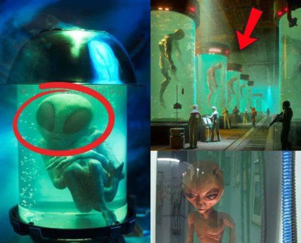 Breaking News: Researchers Uncover Hidden Secrets in Extraterrestrial Body Structures